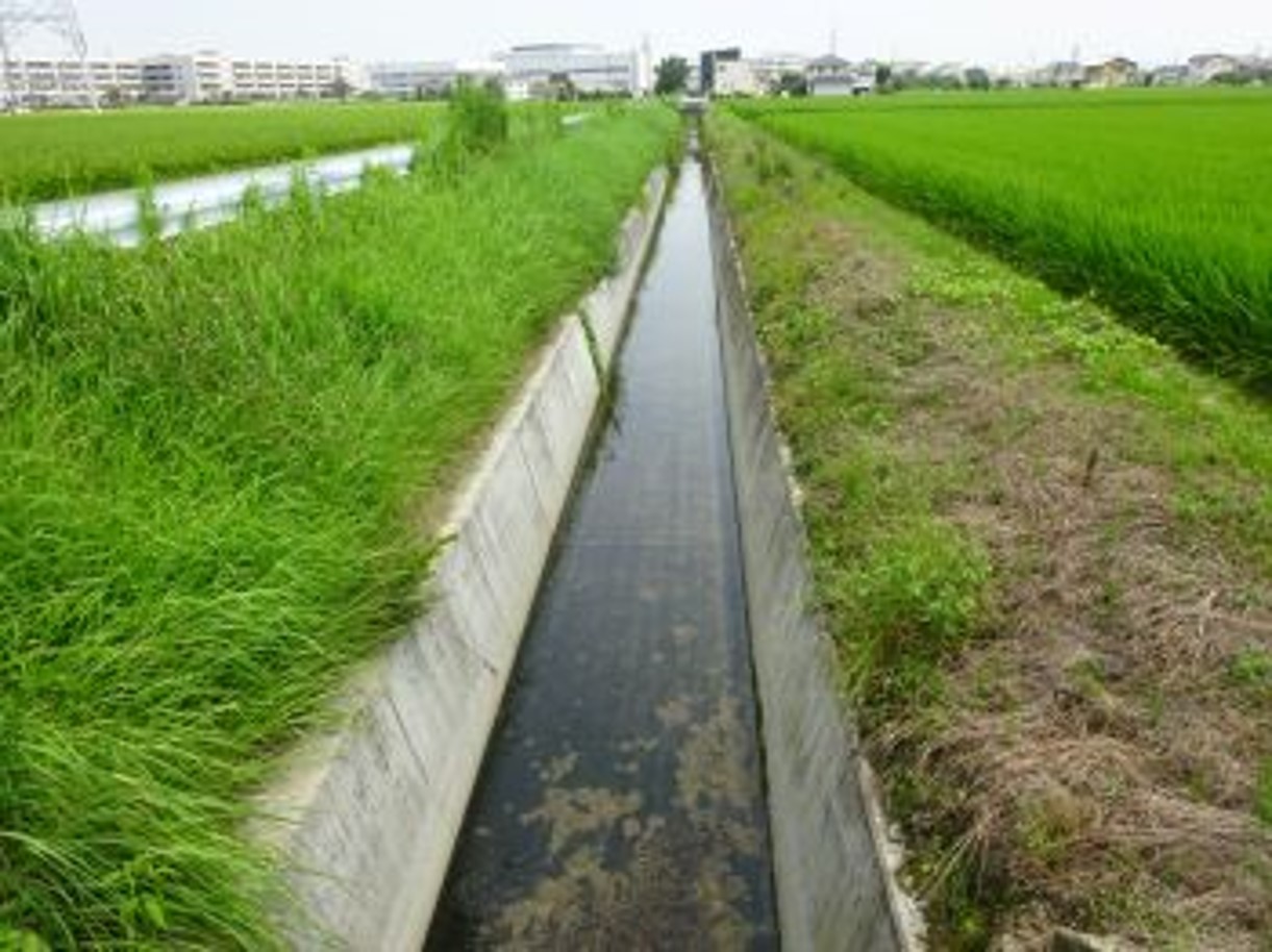 鷺蔵用悪水